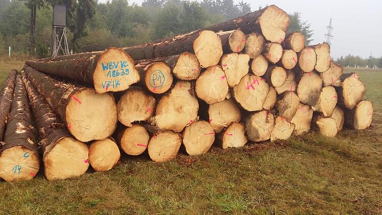 "Käferholz" wartet derzeit im Frankenwald oft auf Abholung.  Foto: Tobias Wicklein
