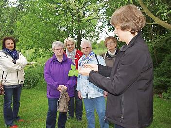 Die Teilnehmerinnen der Kräuter-Wanderung schauen skeptisch. Für manche ist Giersch ein Unkraut. Christina Zehnter (rechts) bereitet daraus gerne eine Schorle mit Apfelsaft zu. Foto: Heike Schülein
