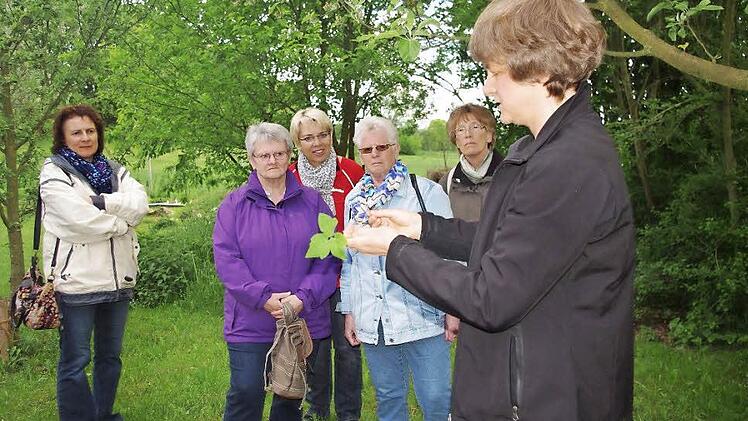 Die Teilnehmerinnen der Kräuter-Wanderung schauen skeptisch. Für manche ist Giersch ein Unkraut. Christina Zehnter (rechts) bereitet daraus gerne eine Schorle mit Apfelsaft zu. Foto: Heike Schülein
