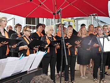 Der Gastgeber, die Singgemeinschaft Wachenroth, ging unter der Leitung von Dominik Ignatzek mit Peter Maffay "über sieben Brücken". Foto: See
