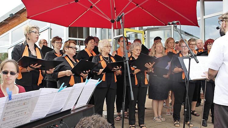 Der Gastgeber, die Singgemeinschaft Wachenroth, ging unter der Leitung von Dominik Ignatzek mit Peter Maffay "über sieben Brücken". Foto: See