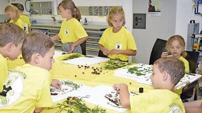 Auch das Basteln mit Kr&auml;utern stand auf dem Programm. Fotos: privat