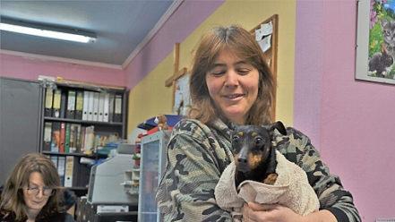 Mittlerweile lässt sich Rehpinscherdame Aroha von Katrin Meserth anfassen. Bis dahin war es ein langer Weg.  Fotos: Sandra Hackenberg