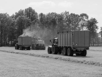 Grashäcksler, Landwirtschaft, Ladewagen