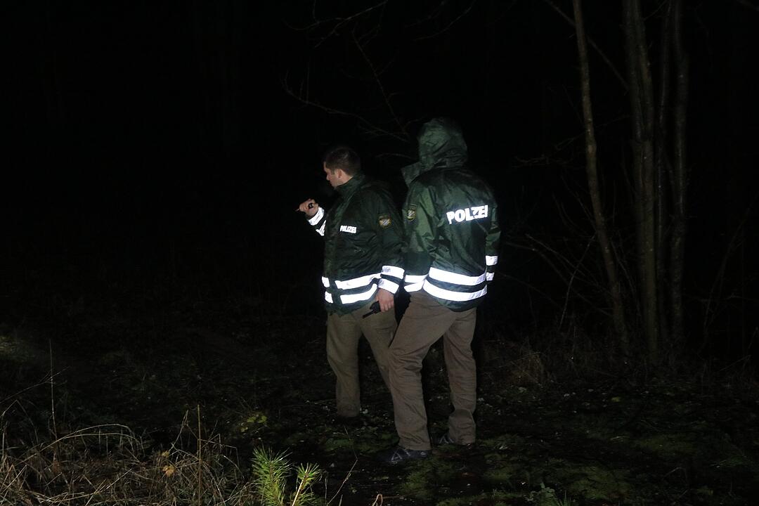 Vorsätzlich angesägt: 18 Meter Stamm liegt plötzlich auf der Straße