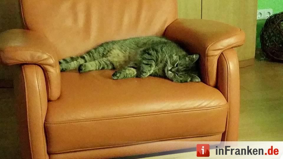 Foto: Caroline Gerber