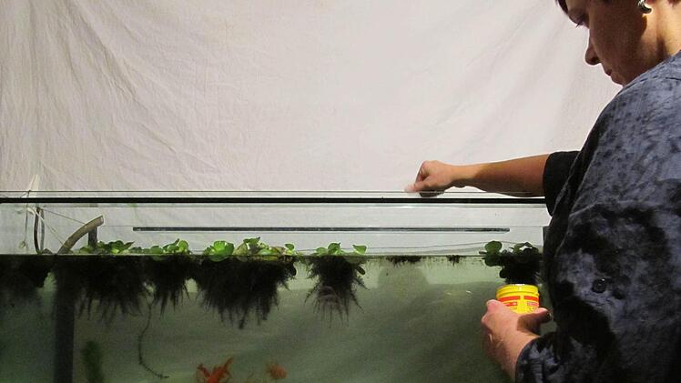 Andrea Schneider hat ihr großes Aquarium geschenkt bekommen - von einem Netzwerk-Freund, der sich auch mal gern was schenken lässt.  Foto: Sabine Paulus