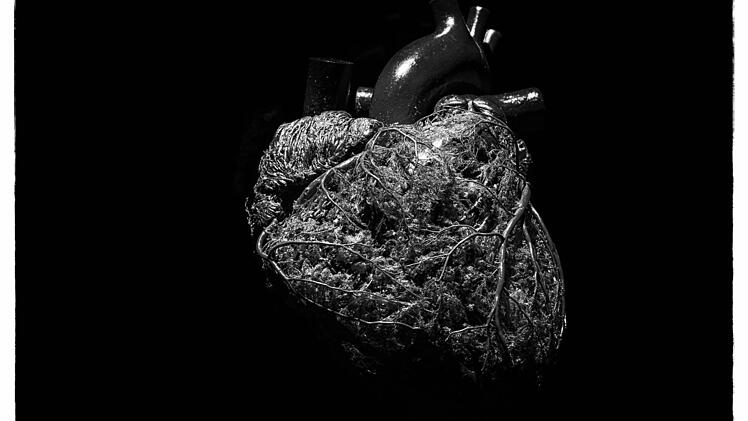 Die Ausstellung "Körperwelten - eine Herzenssache" wird noch bis zum 11. Februar im Quelle-Areal in Nürnberg gezeigt. Foto: Matthias Hoch