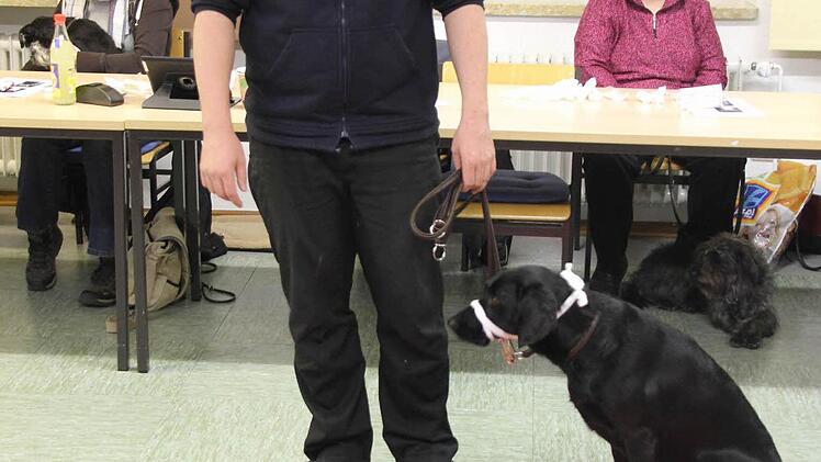 Übungsgsobjekt: Ein Teilnehmer hat seinem Hund vorblldlich die Maulschlinge angelegt. Im Vordergrund liegt "Kasper", die Übungspuppe.