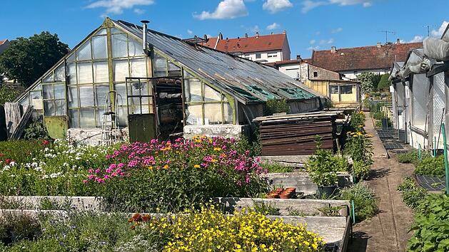 Bamberg: "Hofstadt-Gärtnerei" schließt und gibt Inventar ab - "gibt keinen Nachfolger"