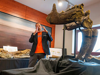 Ur-Elefanten-Friedhof in Bayern entdeckt