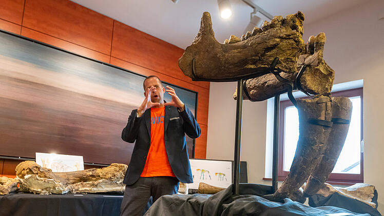 Ur-Elefanten-Friedhof in Bayern entdeckt