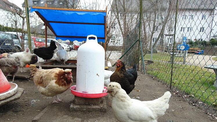 Foto: Petra Malbrich