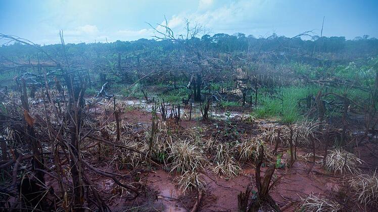 Deutlich ist die Zerstörung des Regenwaldes durch Brandrodung zu erkennen. Jürgen Escher/Adveniat