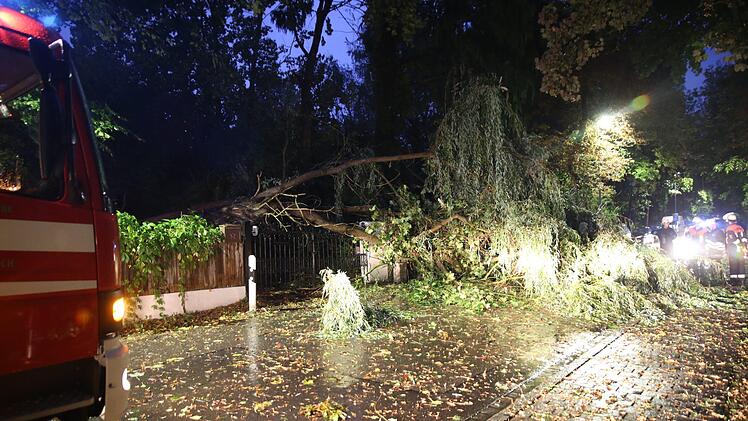 Zahlreiche Bäume stürzten beim Unwetter um, wie hier in Schwabach in Mittelfranken. Foto: NEWS5 / DESK