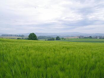 Über die Lerchenhoftrasse soll die B 303 an Theisenort vorbei an die B 173 zwischen Küps und Johannisthal angebunden werden.