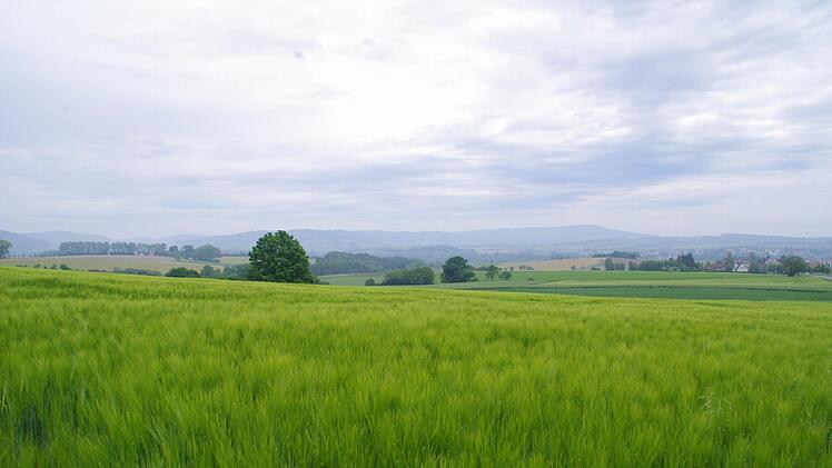 Über die Lerchenhoftrasse soll die B 303 an Theisenort vorbei an die B 173 zwischen Küps und Johannisthal angebunden werden.
