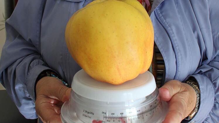 Gertrud Gehringer präsentiert ihren Riesenapfel auf der Waage, die sie eigens mitgebracht hatte. Foto: Anna Lienhardt