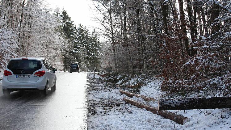 Wintereinbruch in der Rhön: Etliche umgestürzte Bäume mussten beseitigt werden. Foto: Carmen Schmitt