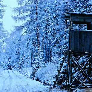 Schnee im Fichtelgebirge
