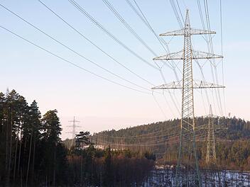 Geht da noch mehr? Der Netzentwicklungsplan lässt befürchten, dass die Trasse zwischen Ebersdorf und Sonnefeld bald nicht mehr alleine dastehen wird. Foto: Berthold Köhler