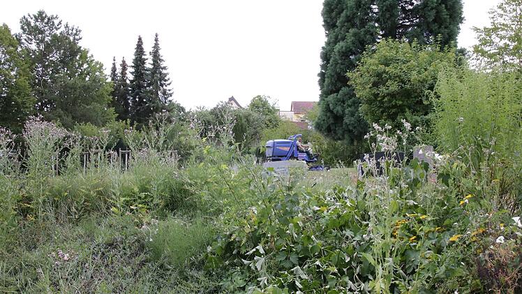 Eindrücke vom Garitzer Friedhof. Foto: Ralf Ruppert