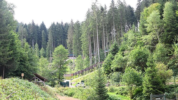 Problemb&auml;rin Gaia kommt in den B&auml;renpark