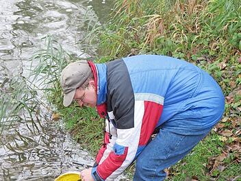 Insgesamt 600 zweij&auml;hrige Fische wurden eingesetzt. Foto: pn