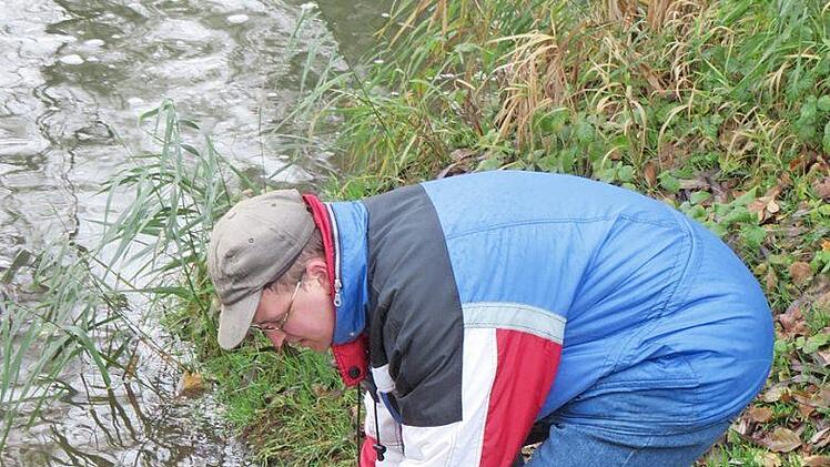 Insgesamt 600 zweij&auml;hrige Fische wurden eingesetzt. Foto: pn