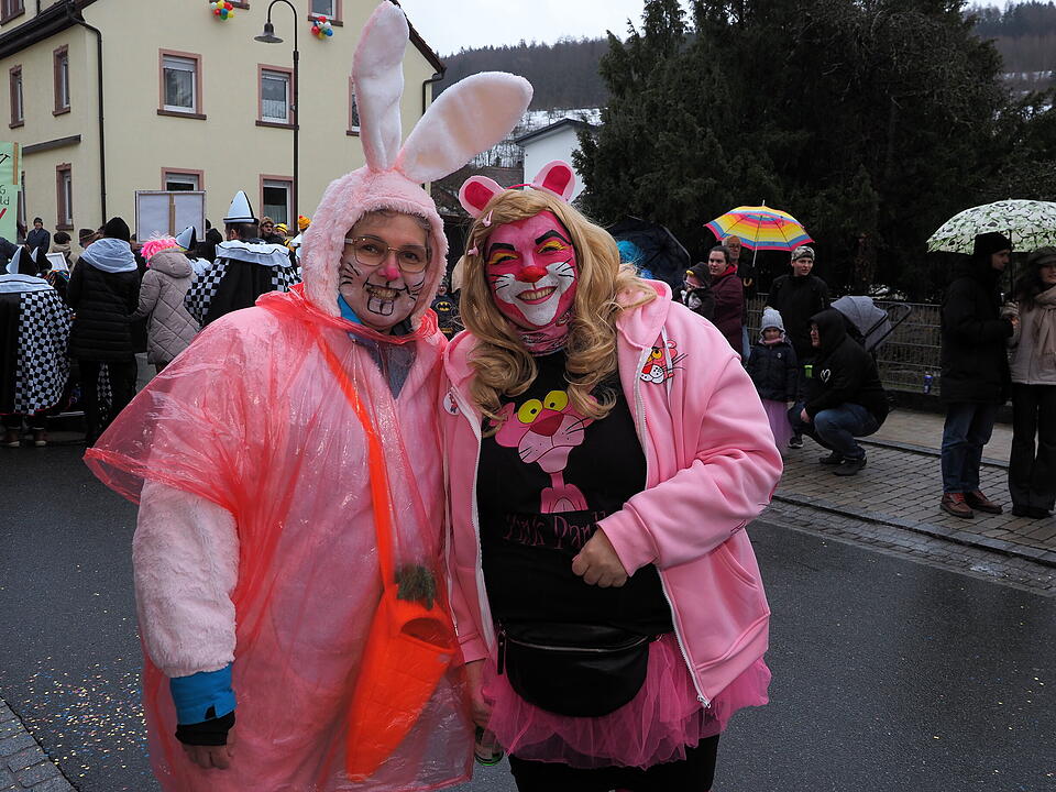 Bad Br&uuml;ckenau feiert Fasching!