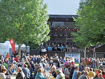 Mit "Classic & Picknick" wird im Neustadter Freibad höchst erfreulich der Juli eingeläutet. Foto: Archiv, Stadt Neustadt