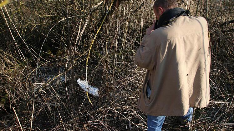 Weiter hinten liegt der Vogelkadaver. Der ehrenamtliche Vogelschützer kann sich auch nicht erklären, was den Schwan "gerupft" hat.