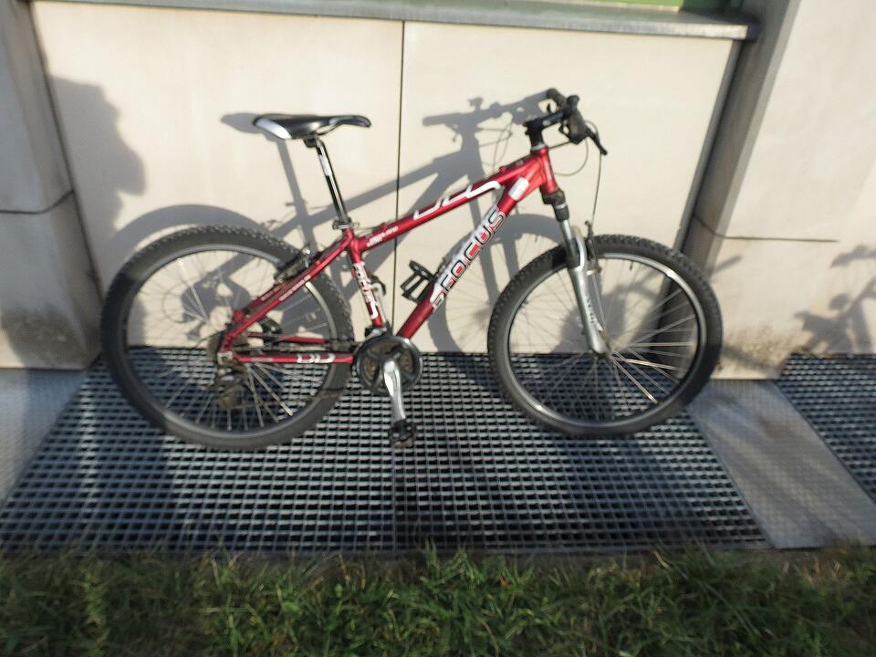 Fahrräder auf der Erba-Insel gefunden: Polizei sucht Besitzer