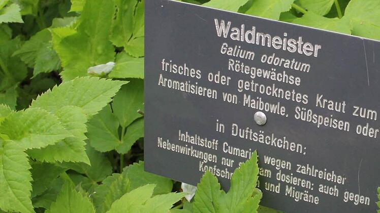 Alles ist schön beschriftet im Mannsgereuther Kräutergarten.