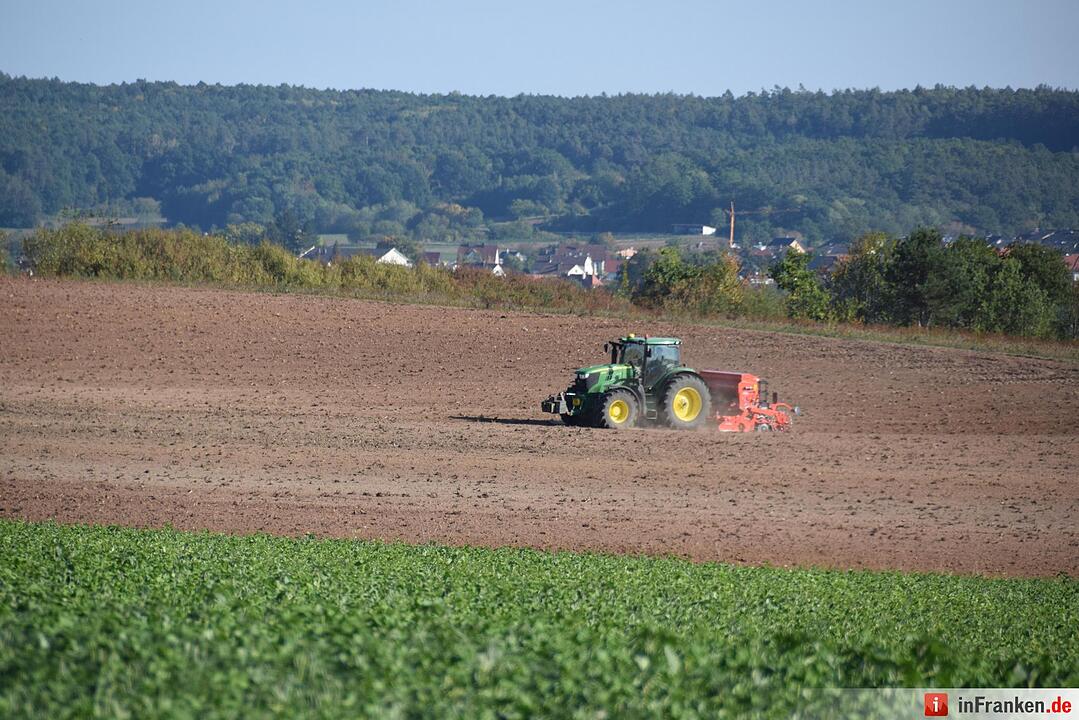 Herbstimpressionen Bamberg