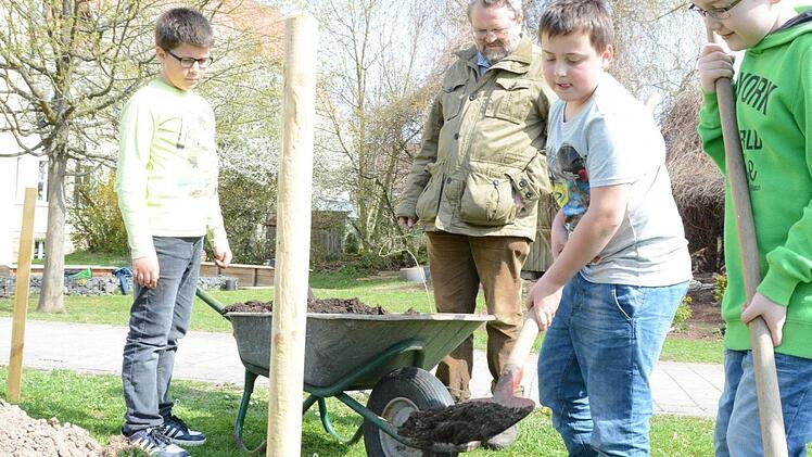 Impressionen vom Obstbaum-Pflanztag an der Grundschule Melkendorf  Foto: Dagmar Besand