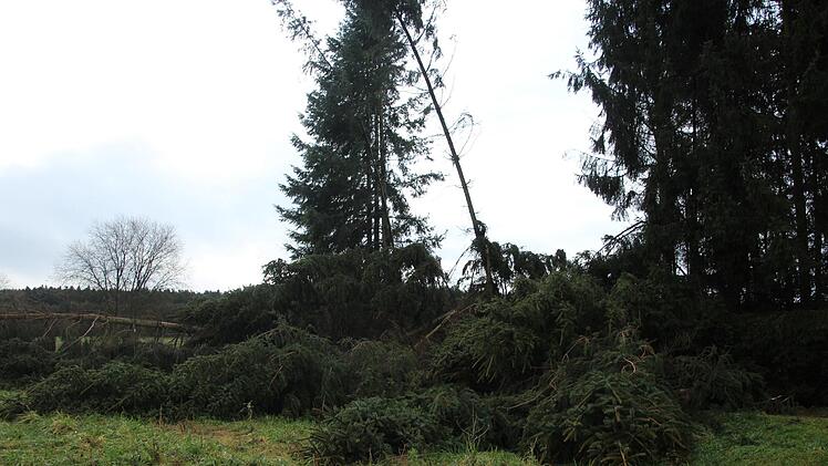 Sturm in JungenhofenFoto: Waltraud Enkert