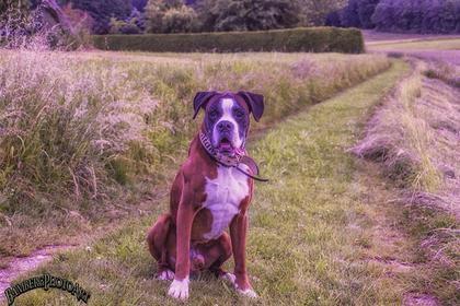 Foto: Bambergphotoart