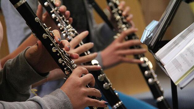 Die jungen Damen haben nicht nur ihre Instrumente, sondern auch den Vorstand im Griff.  Foto: Gerd Schaar
