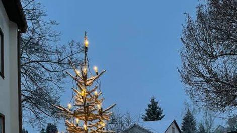 Nicht nur der Weihnachtsbaum, auch die Krippe ist ein Highlight bei Familie L&ouml;ffler in Kronach.
