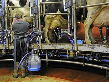 Ein geplanter Freilaufstall sorgt für Ärger in Pressig. Foto: Archiv