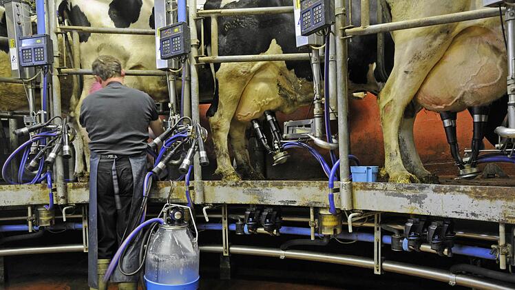 Ein geplanter Freilaufstall sorgt für Ärger in Pressig. Foto: Archiv