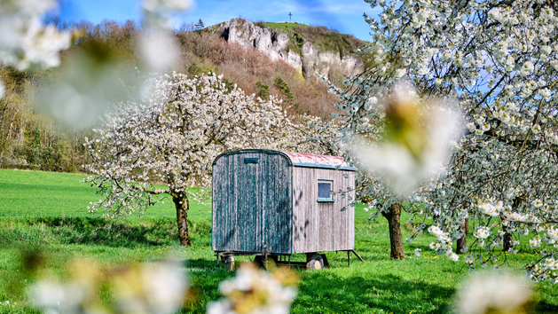 Fr&auml;nkische Schweiz Tourismus
