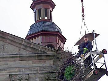 Im Frühjahr siedelten Störche auf der Westfassade der Höchstadter Georgskirche. Jetzt wurde ihr Horst entfernt.  Foto: Hermann Schätzel