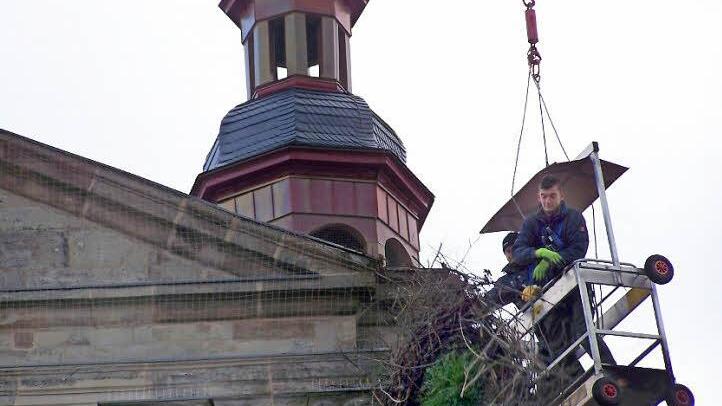 Im Frühjahr siedelten Störche auf der Westfassade der Höchstadter Georgskirche. Jetzt wurde ihr Horst entfernt.  Foto: Hermann Schätzel