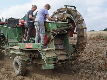 In der Pulster Flur bauen nur noch die Walters Kartoffeln an. Der Ertrag ist heuer um die H&auml;lfte geringer ausgefallen. Es fehlten die Niederschl&auml;ge. Seit 1963 ist der Vollernter im Einsatz, den Siegfried Walter mit seinem Schlepper zieht. Seine Frau Getraud (rechts) und Bettina Seiferth lesen die Erd&auml;pfel am F&ouml;rderband aus.Bruno Prei&szlig;inger