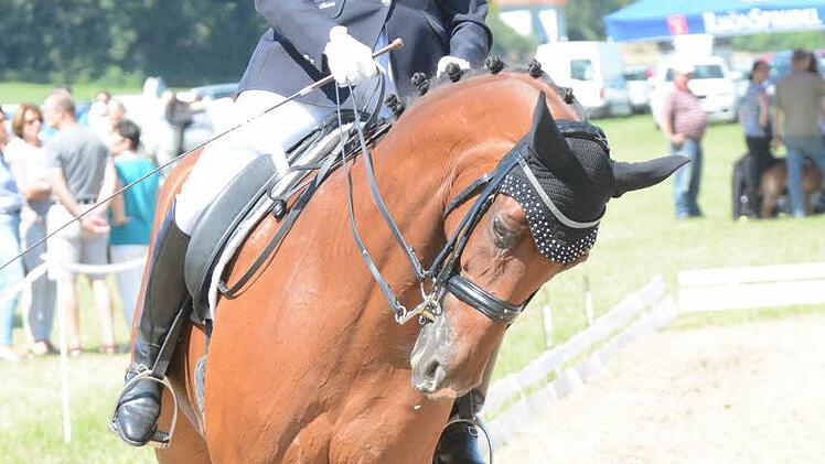 Impressionen vom Rakoczy-Reitturnier. Foto: ssp
