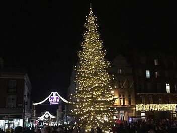 Dieser Christbaum aus dem Callenberger Forst erstrahlt vor Windsor Castle.Foto: Archiv/Michael Selzer, Stadt Coburg