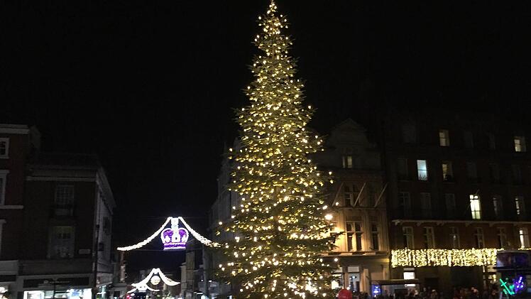 Dieser Christbaum aus dem Callenberger Forst erstrahlt vor Windsor Castle.Foto: Archiv/Michael Selzer, Stadt Coburg