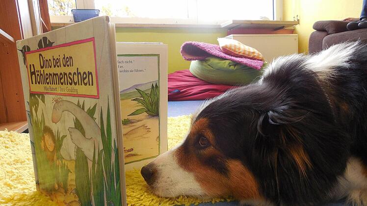 Auch der Hund braucht mal eine Pause... Foto: Katharina Müller-Sanke